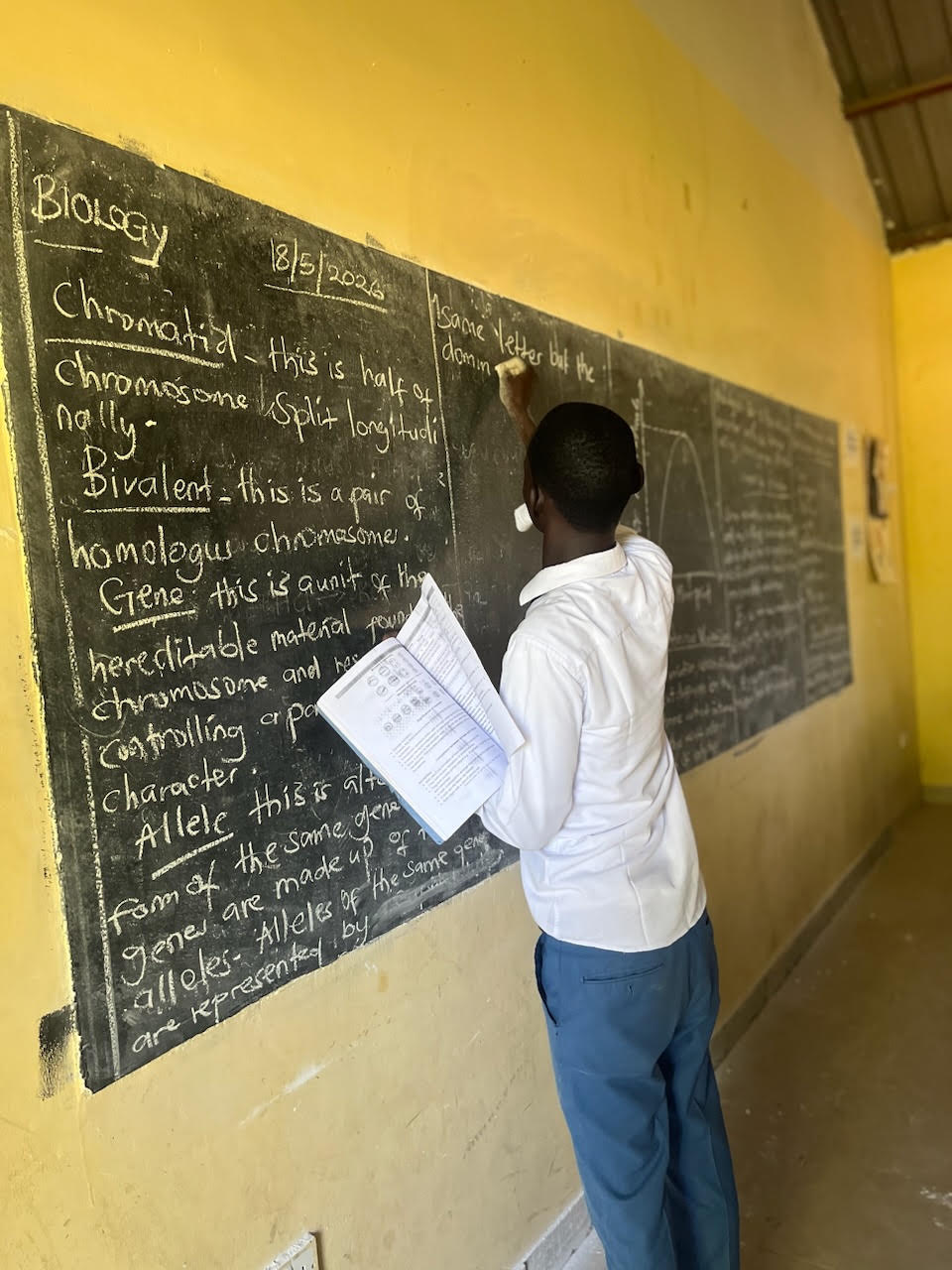 Estudiante escribiendo en la pizarra durante una clase de biología en Sudán del Sur